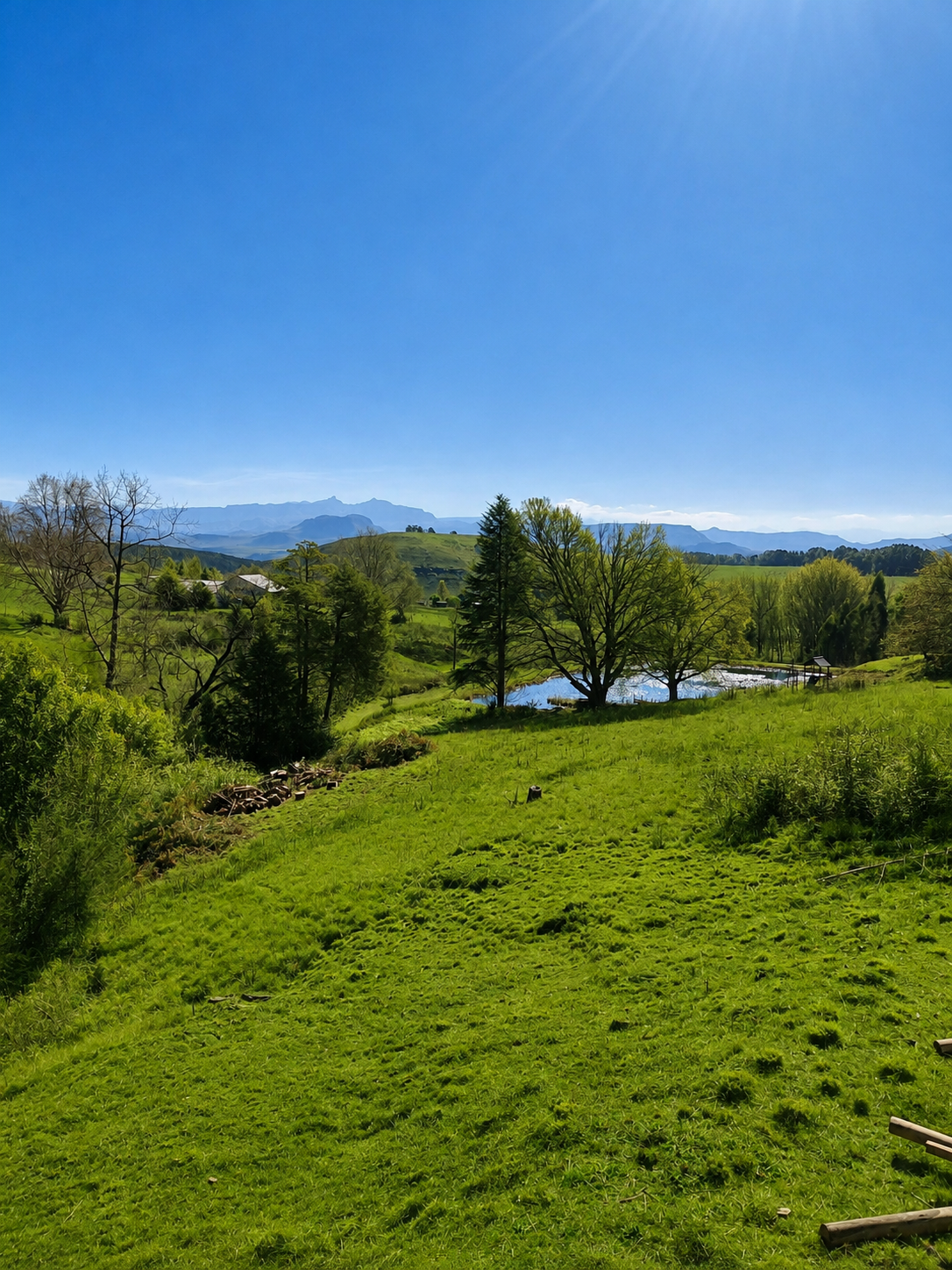 Underwood garden and mountains